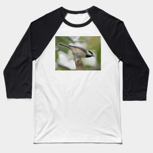 Carolina Chickadee Baseball T-Shirt